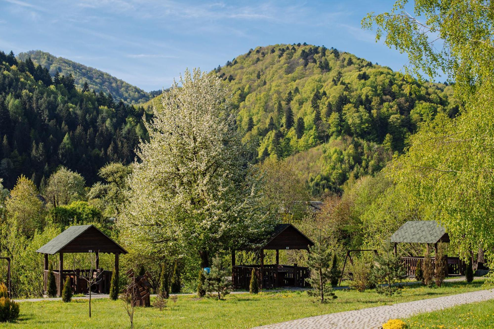 Рибничанка Hotel Skhidnytsia Екстериор снимка