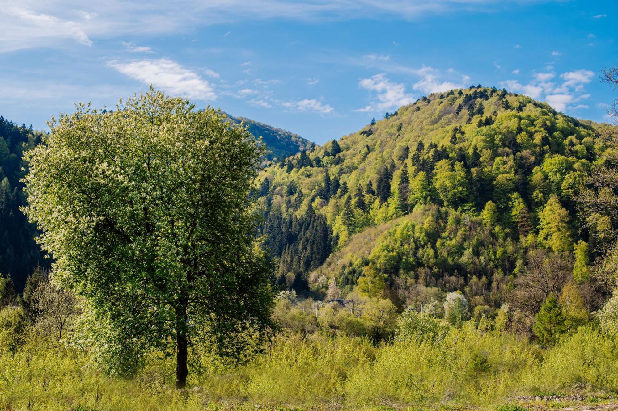 Рибничанка Hotel Skhidnytsia Екстериор снимка